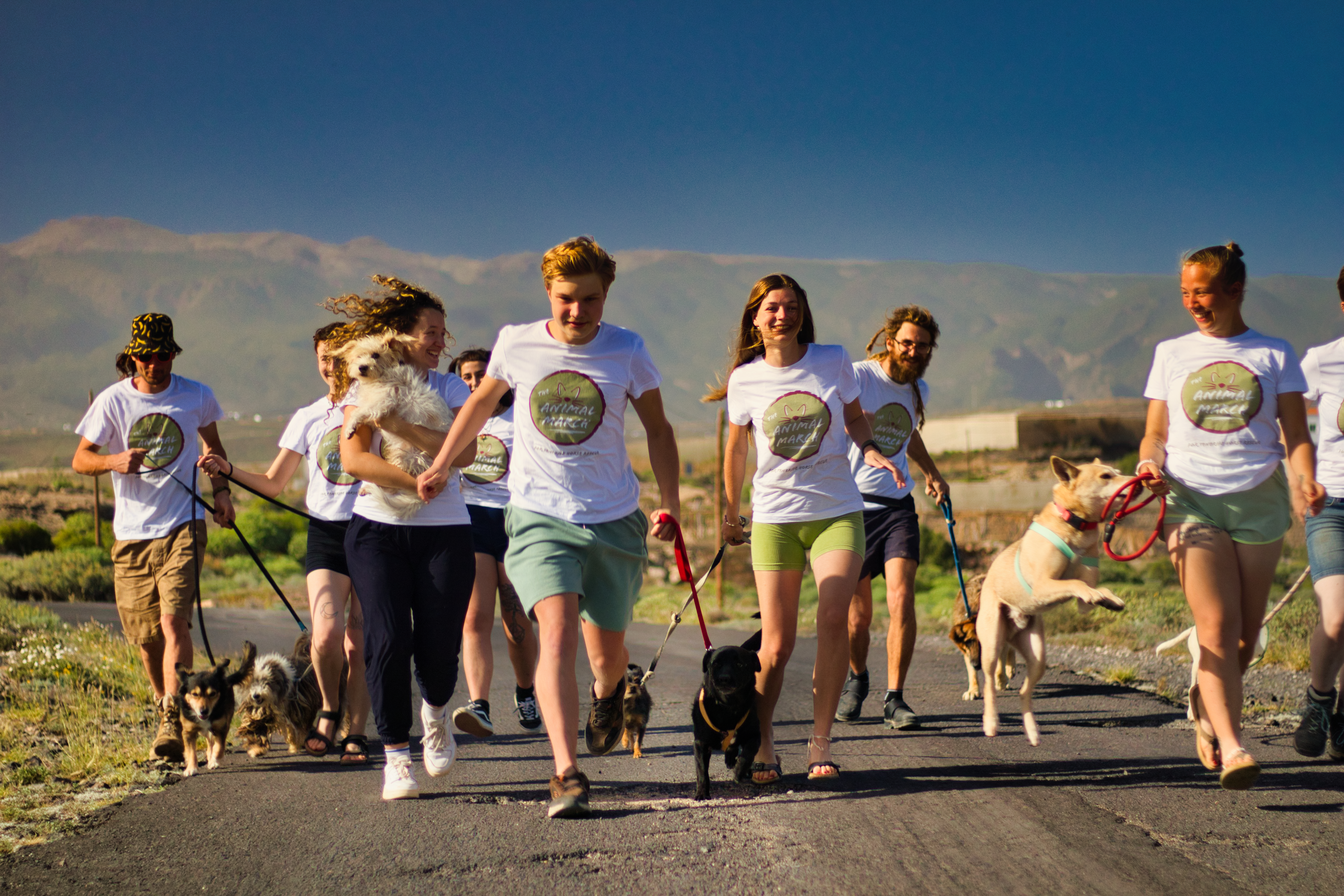 The Animal March team walking with rescued dogs